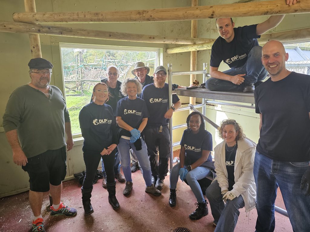 DLP Get Building at Curraghs Wildlife Park Featured Image